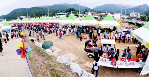 문경서 20∼22일 오미자 축제…국내 생산량 40%