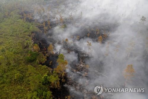 인니 산불 연기, 필리핀 세부까지 퍼져…대기질 악화