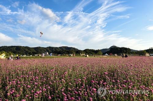 [#꿀잼여행] 수도권: 높푸른 하늘, 지그재그 에어쇼의 진수가 펼쳐진다