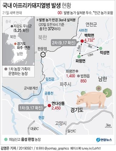 파주·연천 등 221개 양돈농가 혈청검사 "ASF 이상 없다"