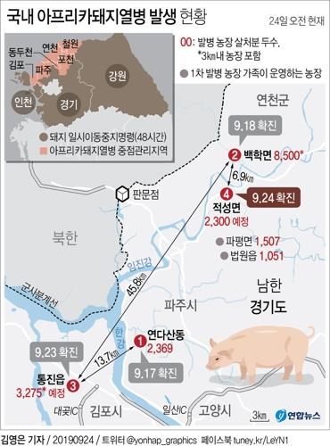 미궁에 빠진 ASF 발병원인·매개체…방역당국 '답답'