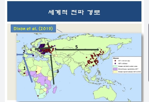 확산일로 돼지열병, 100년간 아프리카→유럽→아시아 강타