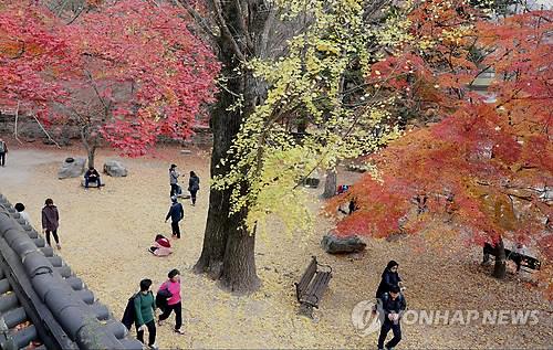 한옥마을 온 김에 내장산까지…전주시-정읍시 관광 광역화