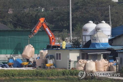 경기도, 축제 없는 가을…"돼지열병 차단 먼저"