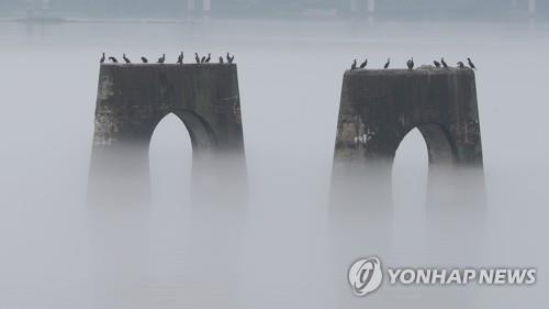 충북 구름 많은 날씨…일교차 크고 곳에 따라 안개