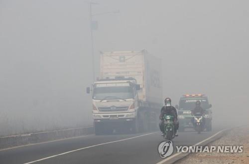 인도네시아 산불 지역에 '단비'…발화지점 절반 감소