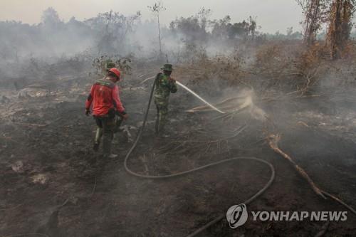 인도네시아 산불 지역에 '단비'…발화지점 절반 감소