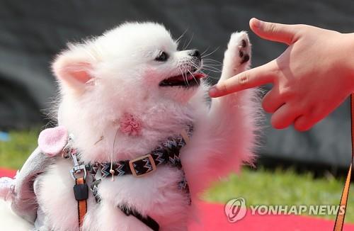 "풍성한 축제와 문화 행사가 있는 대전으로 오세요"