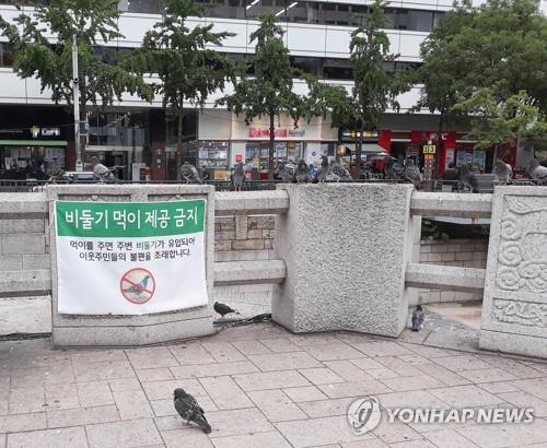 비둘기·고양이에 먹이 주지 마세요…日지자체 규제조례 확산