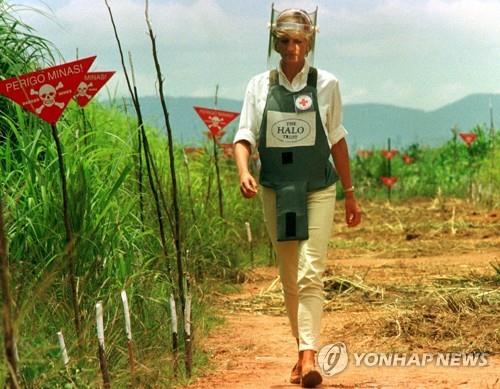 英해리왕자, 어머니 다이애나 '지뢰퇴치' 자취 찾아 앙골라행(종합)