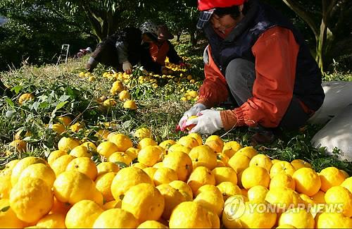 [고침] 지방(남해군에 둥지 튼 벤처기업, 주민과 토종 유…)