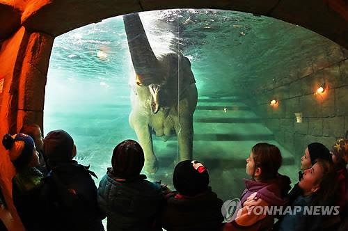 수영하는 코끼리?…`수백 년 미스터리` 네스호 괴물 실체 드러날까