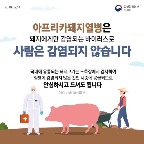 "아프리카돼지열병, 사람한테 감염 안돼…돼지고기 충분히 익혀먹어야"