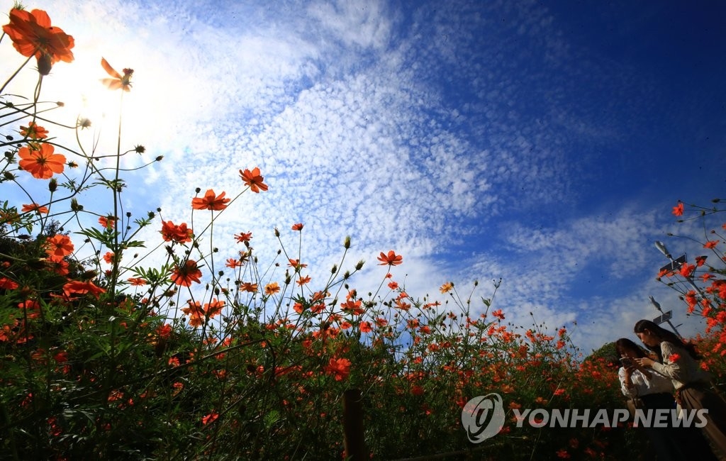 [날씨] 10도 내외 큰 일교차…"아침저녁 쌀쌀해요"