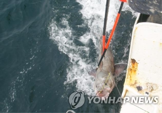 美, 한국 `예비 불법어업국` 지정…`지소미아 파기` 관련 있나