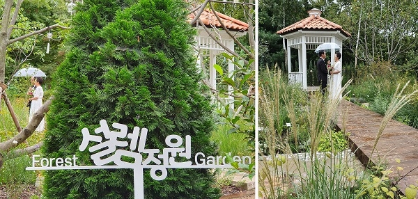 유한킴벌리 조성 `서울숲 설렘정원` 시민 참여한 친환경 결혼식 개최