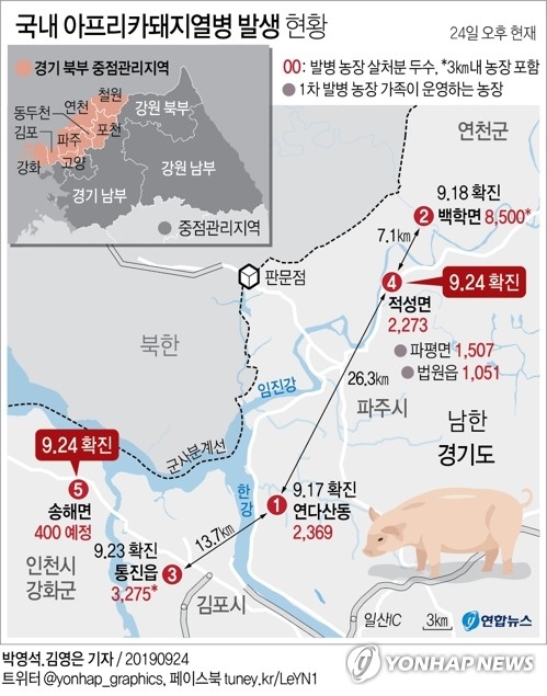 방역대 뚫렸다…인천 강화서 국내 5번째 아프리카 돼지열병