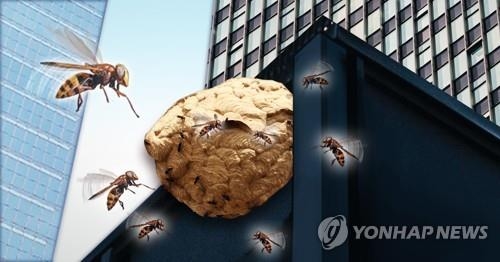 초등학교 운동장 `벌떼의 습격`…어린이 13명 중상 `병원행`