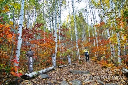 "내설악의 단풍 즐겨요" 인제군, 동남아 관광객 공략 나서