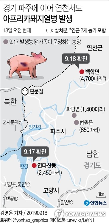 돼지열병 확산에 매뉴얼보다 강한 방역…"3㎞내 예방적 살처분"(종합)