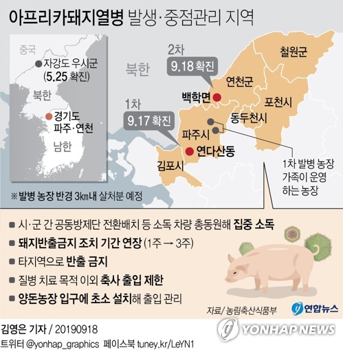 돼지열병 확산에 매뉴얼보다 강한 방역…"3㎞내 예방적 살처분"(종합)