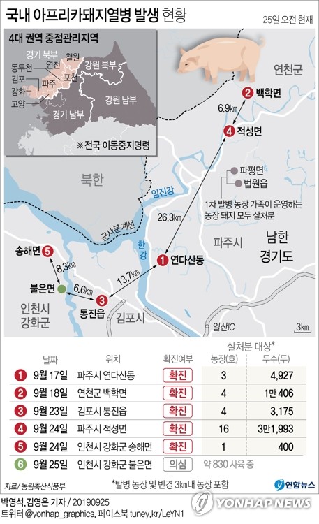 강화서 연이틀 아프리카돼지열병 비상…국내 발생 6건으로 늘어