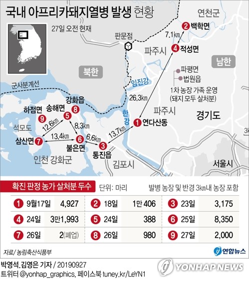 "인천 강화군 돼지 모두 살처분"…3만8000마리 규모