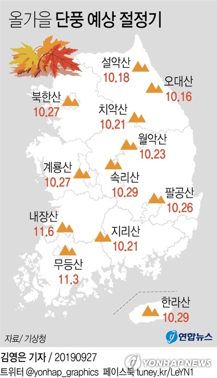 화려한 단풍에 등산로 북적…전국서 가을꽃의 향연