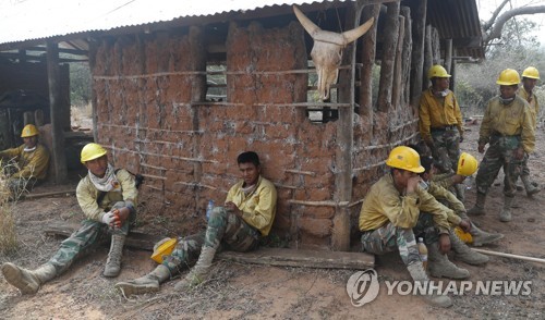 꺼지지 않는 볼리비아 산불…선사시대 암각화도 소실위기(종합)