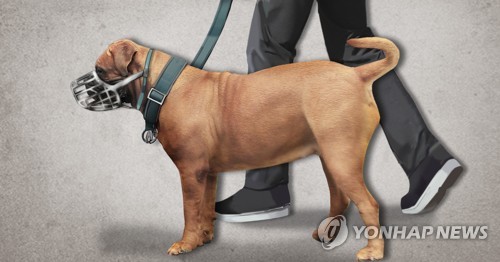 빈번한 개물림 사고…반려견 외출 목줄 길이 2ｍ 제한 추진