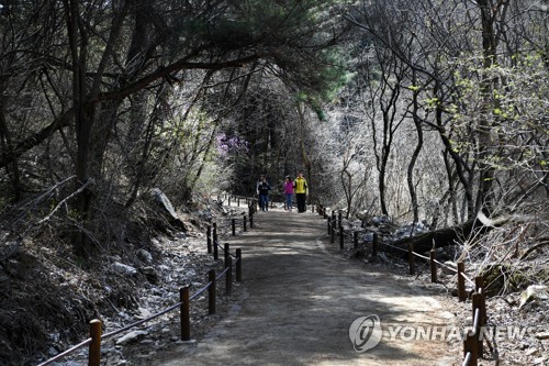 원주치악국제걷기대회 10월 개최…2만여명 참가