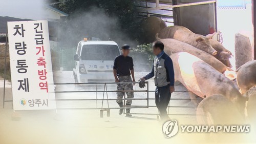 통일부 "돼지열병, 남북 방역협력 추진 필요"…北에 통지문