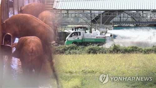 경기도 양주 아프리카돼지열병 의심 농가 음성판정