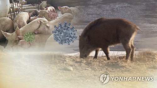 충남 1227개 농가 일제소독…멧돼지 기피제도 보급