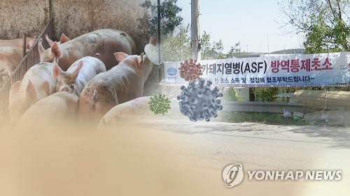 한강 이남까지 뚫렸다…충남 ASF 재난안전대책본부로 격상(종합)