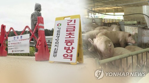 경기도 양주·연천 돼지열병 의심농가 음성판정…3건 검사 중
