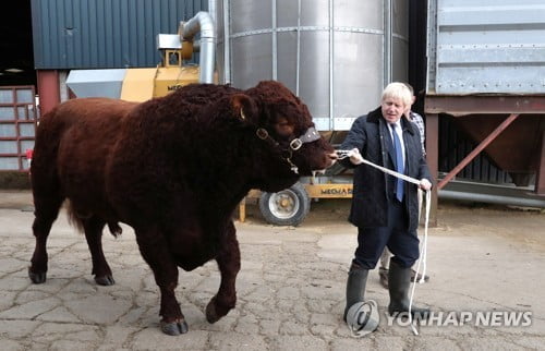 英 존슨 '조기 총선' 거듭 요구에 범야권 "EU 정상회의 전 안돼"