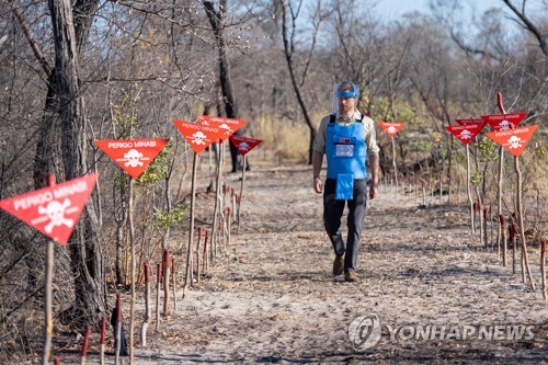 英해리왕자, 어머니 다이애나 '지뢰퇴치' 자취 찾아 앙골라행(종합)