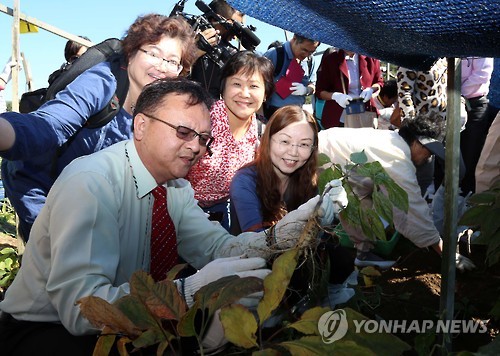 '천오백년의 가치' 제38회 금산인삼축제 개막