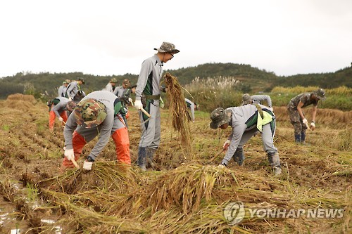 철원군, 대민지원 장병 1천500명 고향 집에 오대쌀 선물