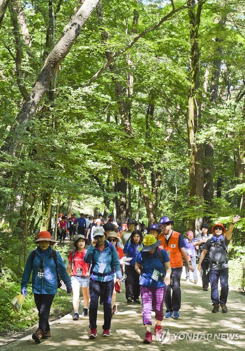 "'왕의 나무' 황장목 숲길을 걸어봐요"…28일 치악산서 걷기축제