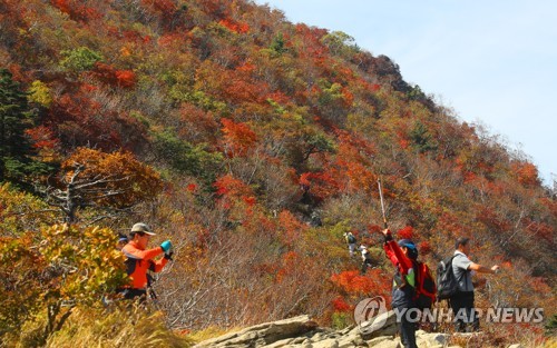 [#꿀잼여행] 강원권: 울긋불긋 가을옷 벌써 입었네…설악산은 첫 단풍