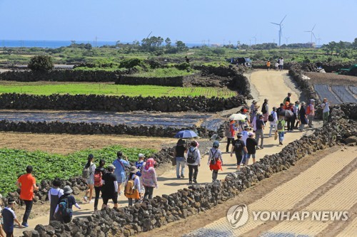 [#꿀잼여행] 제주권: 추자도 절경 속 맛보는 고소한 '참굴비'