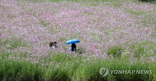 [#꿀잼여행] 영남권: 드론이 배구 경기를 한다…대구 드론 페스타 윙∼ 윙∼