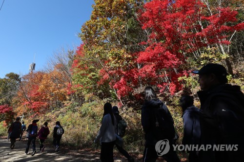 '돼지열병 옮길라'…강원 접경지역 축제·행사 줄줄이 취소