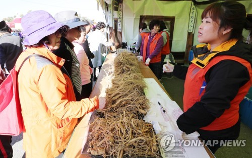 '대표축제' 파주개성인삼축제 아프리카돼지열병으로 취소