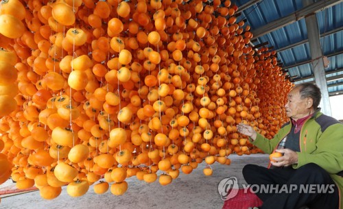 이른 추석에 늦장마, 태풍까지…풍년가 못 부르는 추석 농심