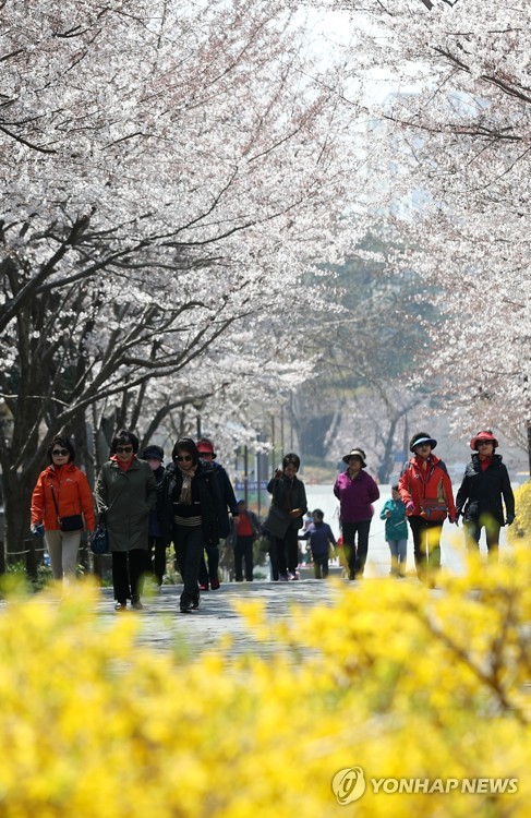 지역관광 동향 빅데이터로 분석…울산시 용역 보고회