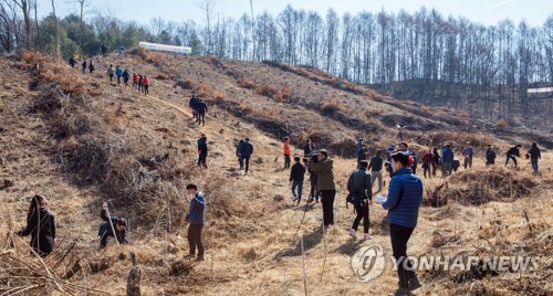 춘천시 1억그루 나무심기 구체화…2025년까지 2천만그루 식재