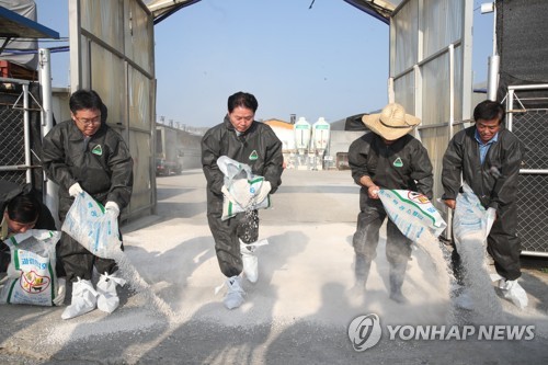 농협, 돼지열병 대비 농가에 무이자 자금 1천억원 지원